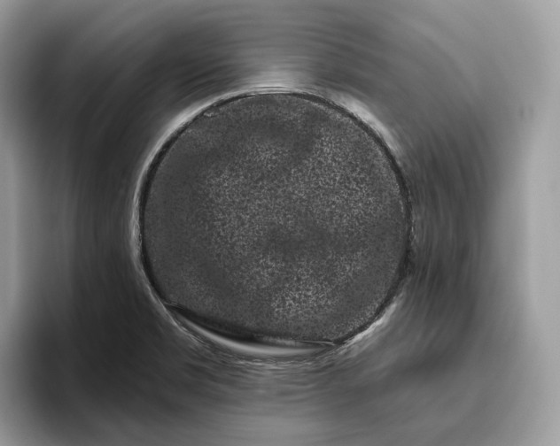X0000095931469200801251040