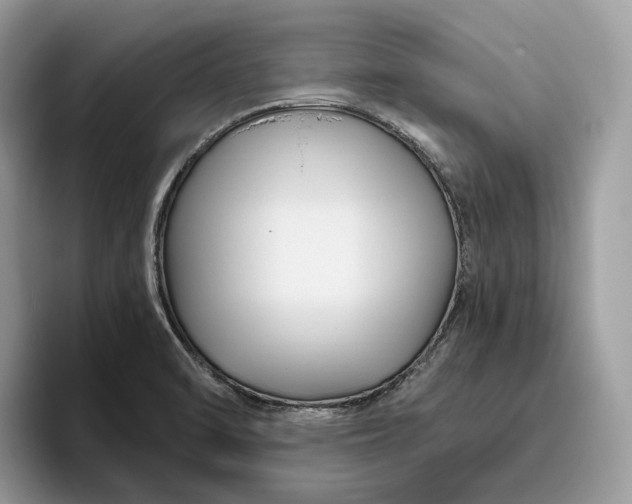 X0000095931470200801251040