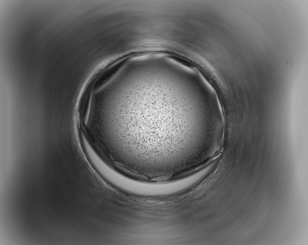 X0000095931472200801251040