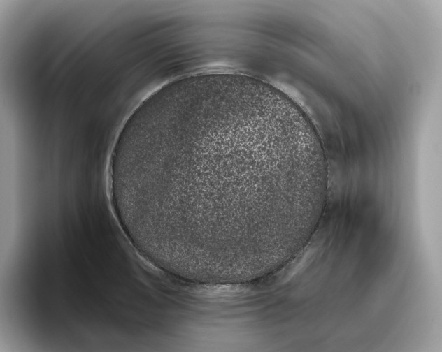 X0000095931474200801251040