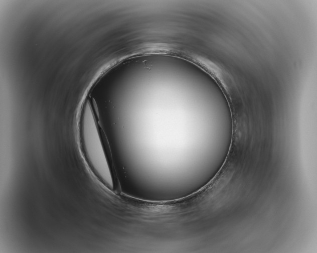 X0000095931475200801251040