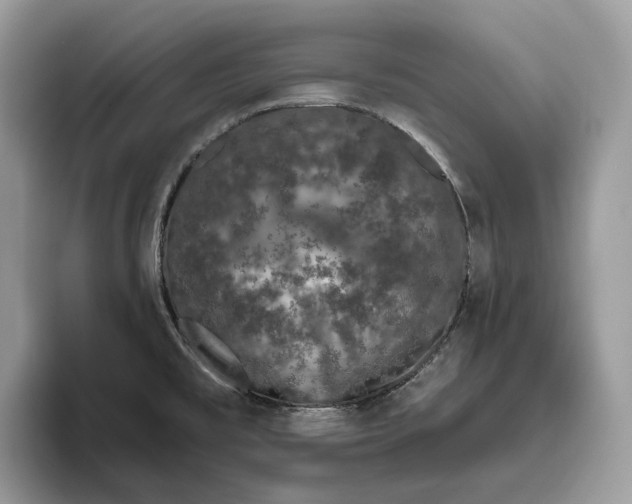 X0000095931477200801251040