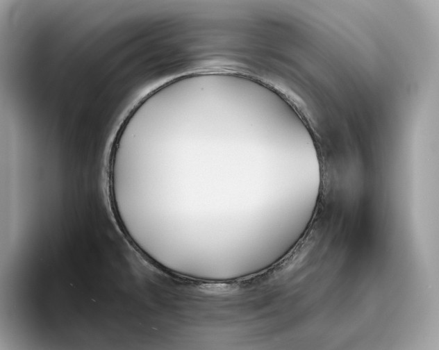 X0000095931478200801251040