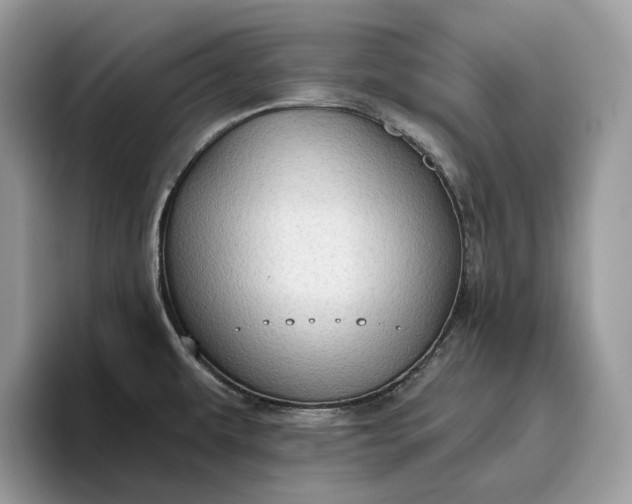 X0000095931479200801251040