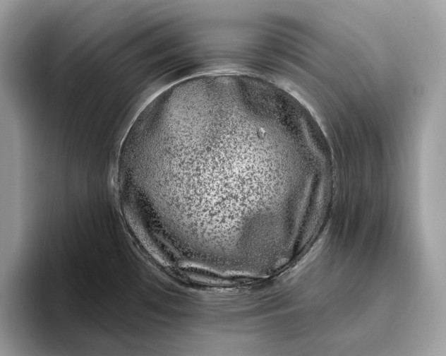 X0000095931481200801251040
