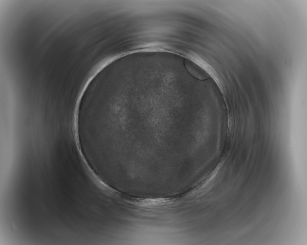 X0000095931482200801251040