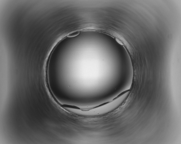 X0000095931483200801251040