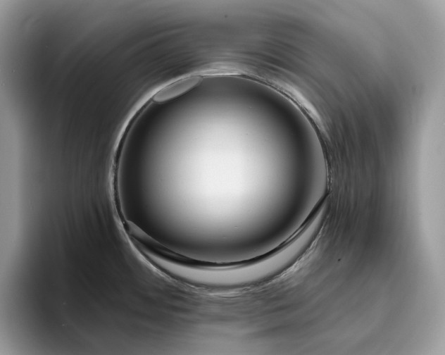 X0000095931484200801251040