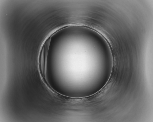 X0000095931485200801251040