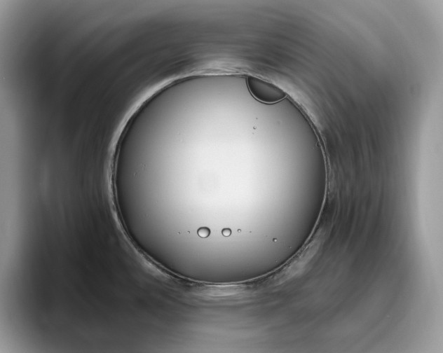X0000095931486200801251040
