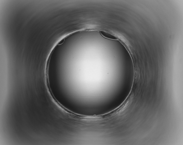 X0000095931487200801251040