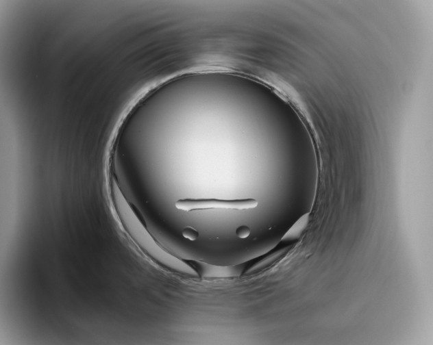 X0000095931488200801251040