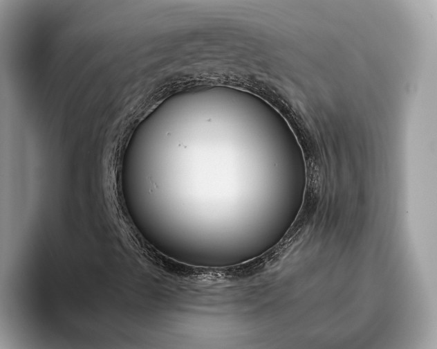 X0000095931489200801251039