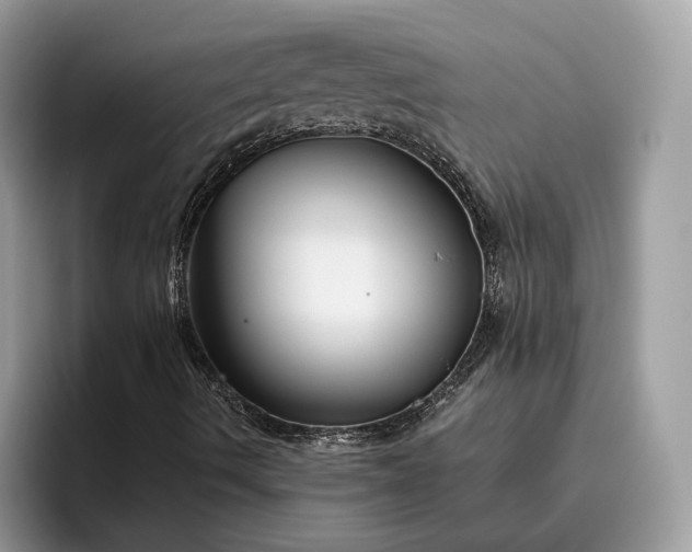 X0000095931490200801251039