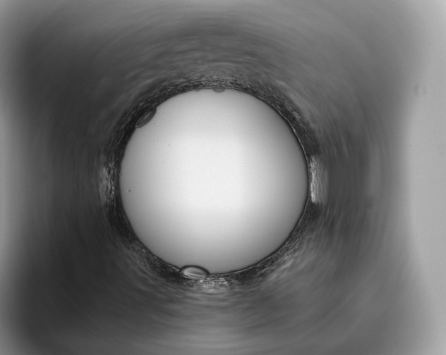 X0000095931491200801251039