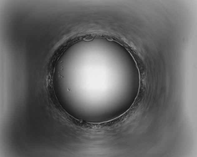 X0000095931495200801251039