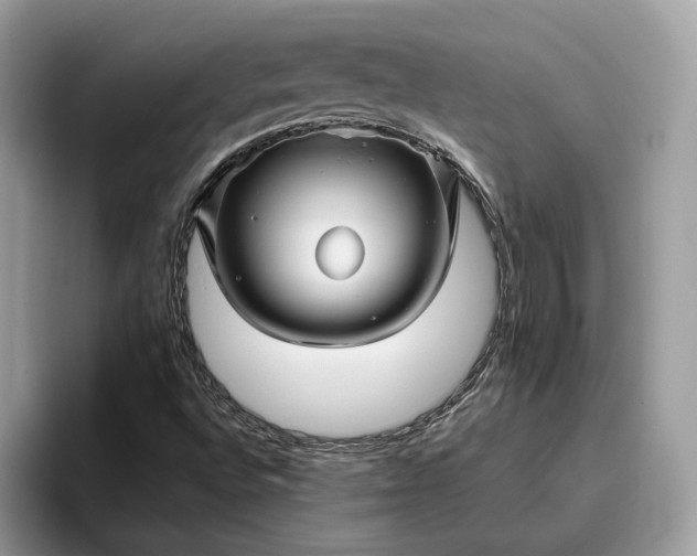X0000095931496200801251039