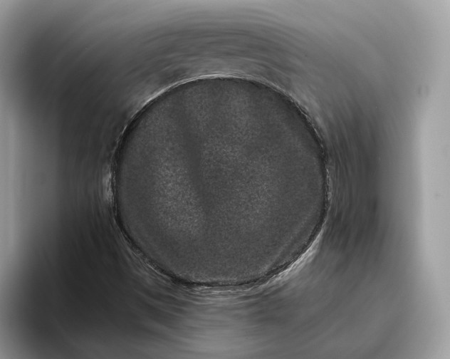 X0000095931497200801251039