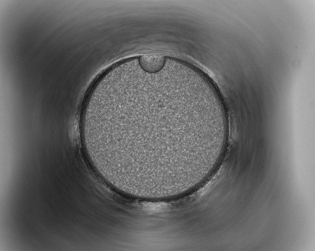 X0000095931498200801251039