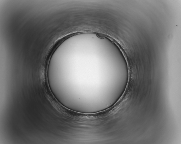 X0000095931499200801251039