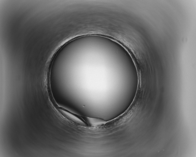 X0000095931500200801251039