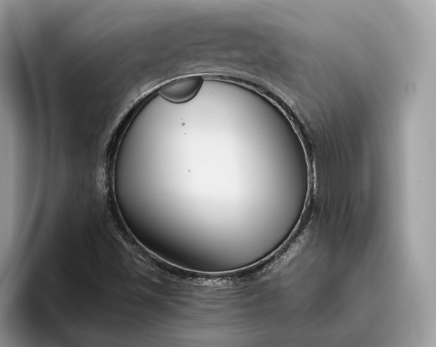 X0000095931501200801251039
