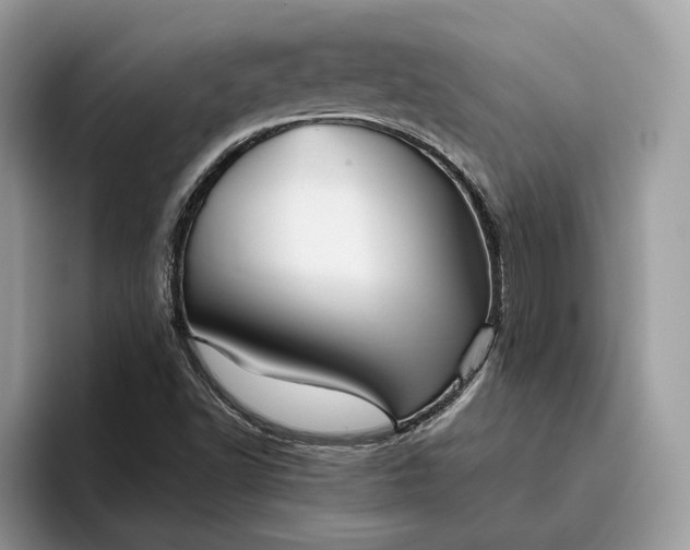 X0000095931502200801251039