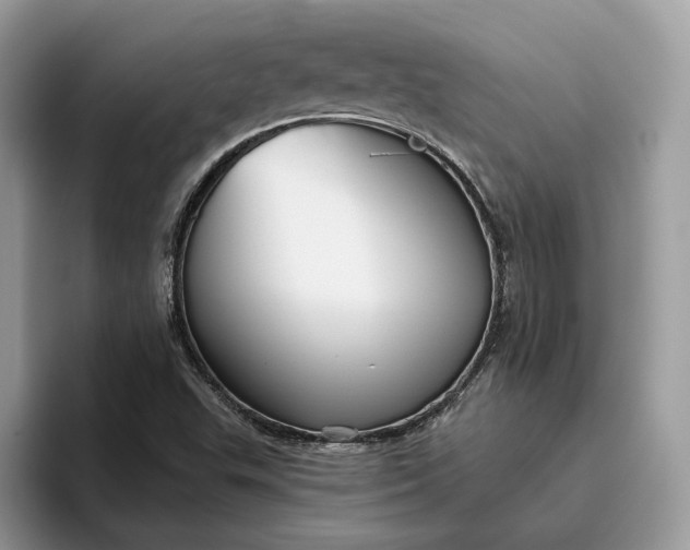 X0000095931503200801251039