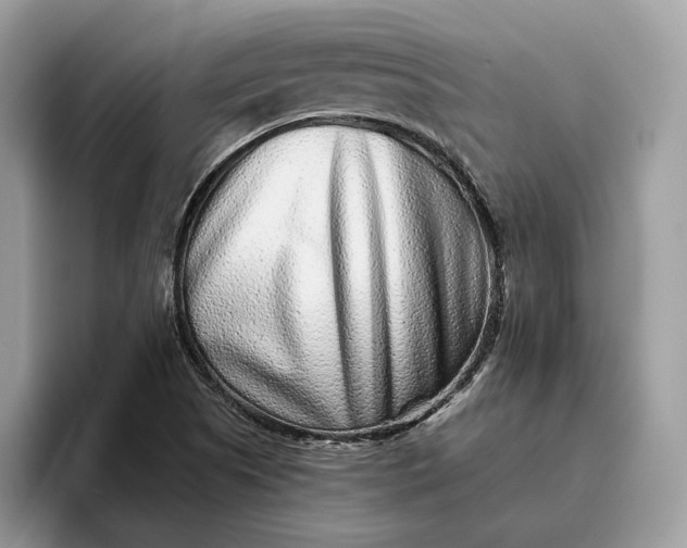 X0000095931505200801251039