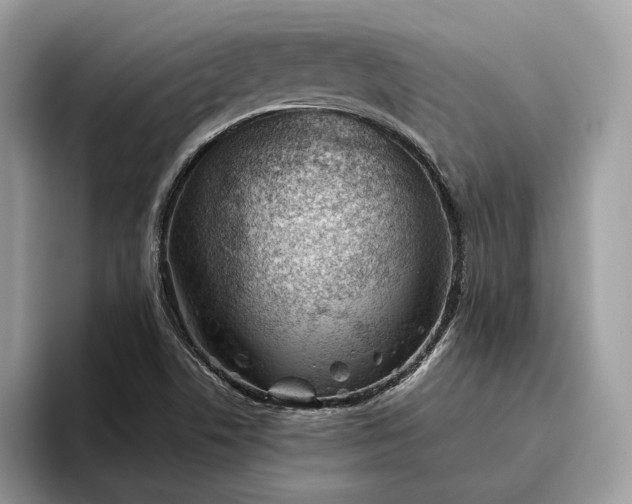 X0000095931506200801251039
