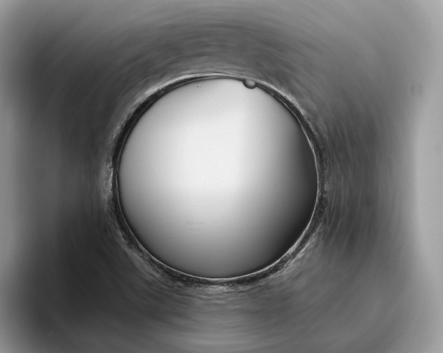 X0000095931507200801251039