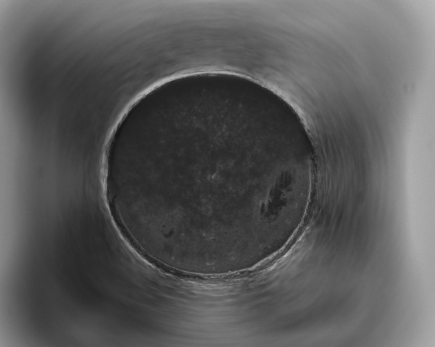 X0000095931508200801251039
