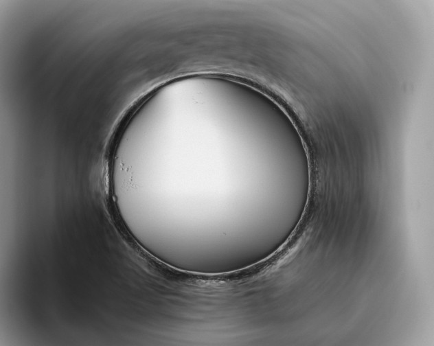 X0000095931509200801251039
