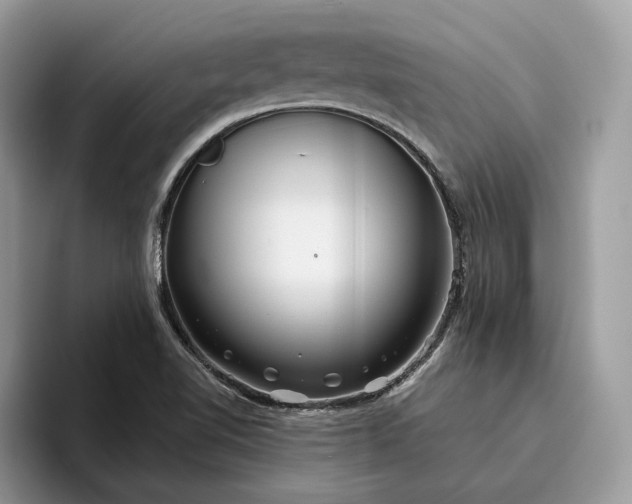 X0000095931510200801251039