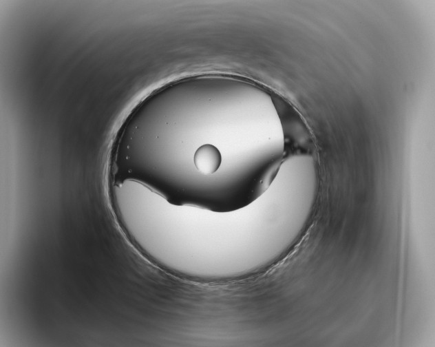 X0000095931512200801251039