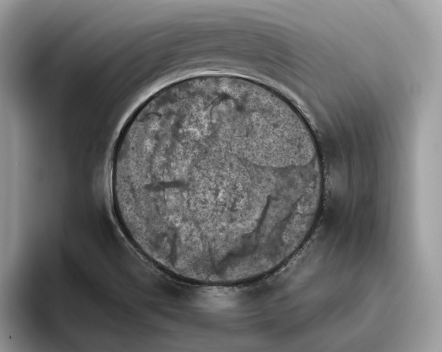X0000095931514200801251039