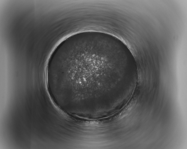 X0000095931515200801251039