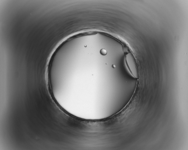 X0000095931516200801251039