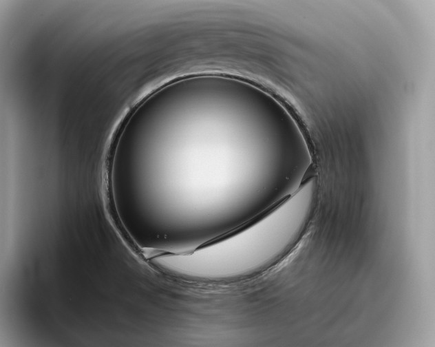 X0000095931517200801251039