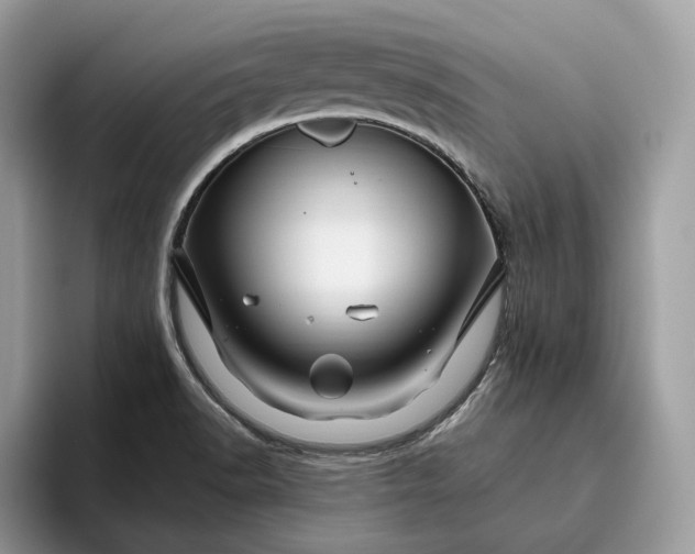 X0000095931518200801251039