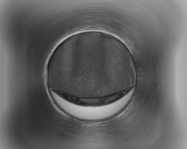 X0000095931519200801251039