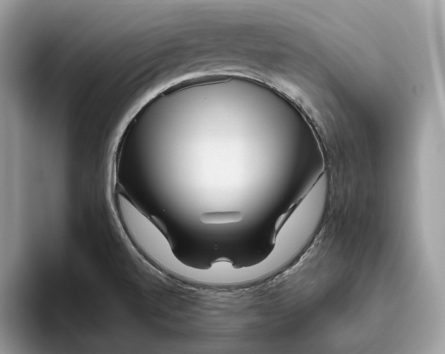 X0000095931520200801251039