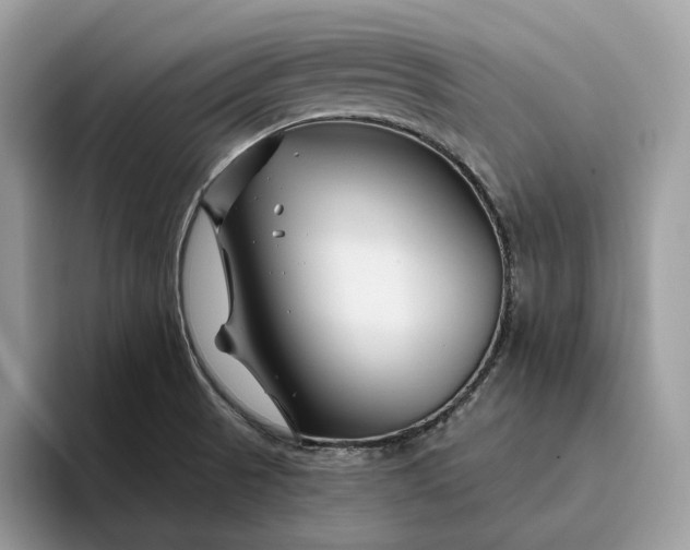 X0000095931521200801251039