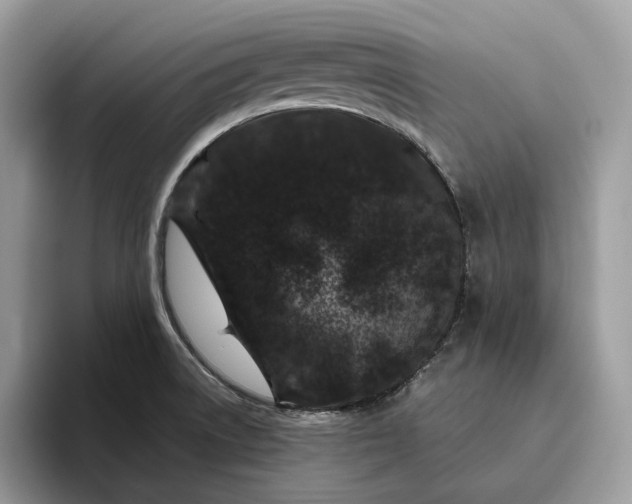 X0000095931522200801251039