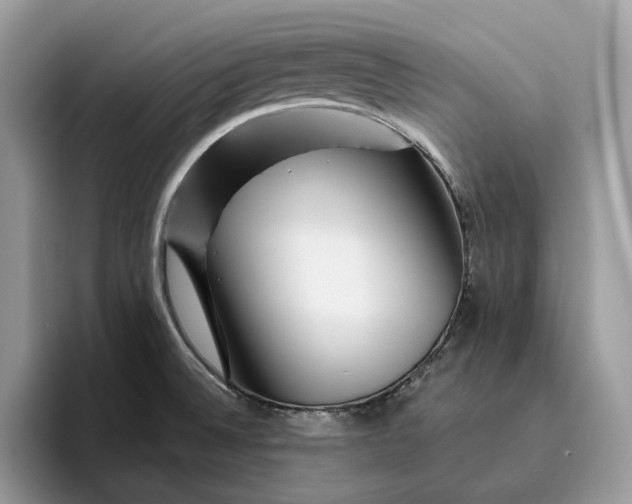 X0000095931524200801251039