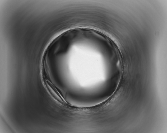 X0000095931525200801251040