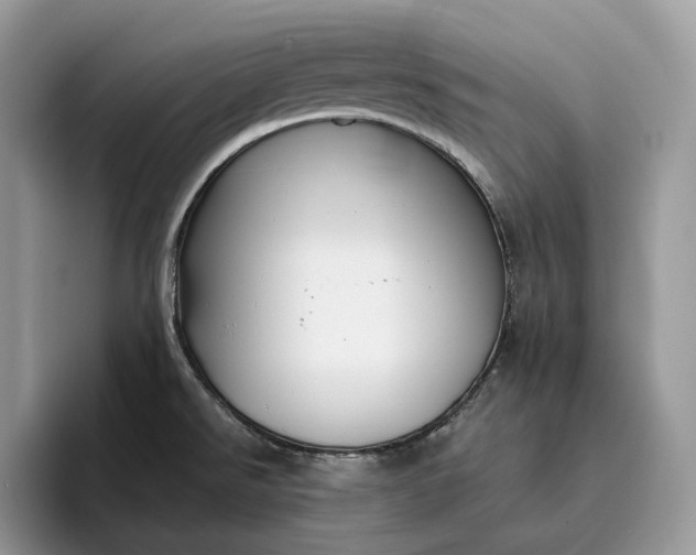 X0000095931526200801251040
