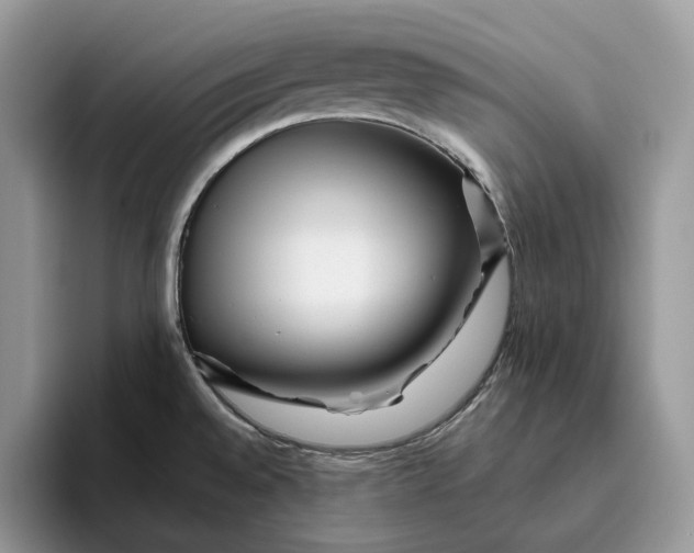 X0000095931528200801251040