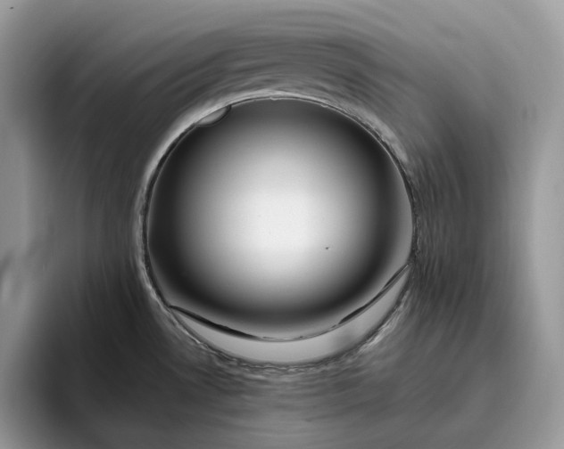 X0000095931530200801251040