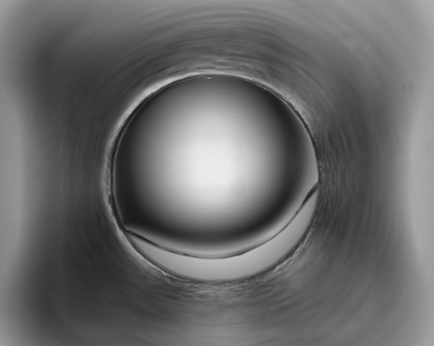 X0000095931531200801251040